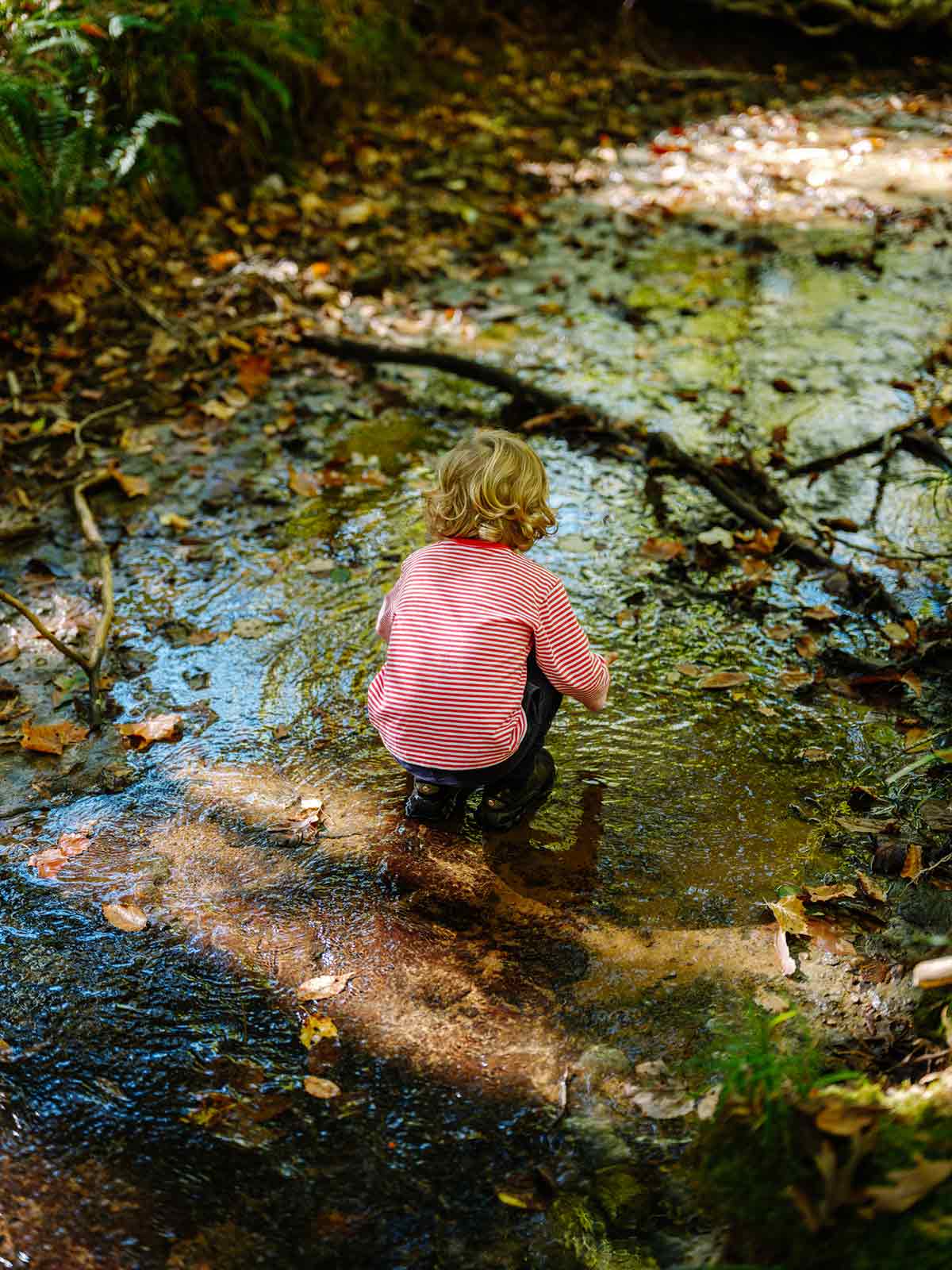 A small child playing in the shallow, clear creek, enjoying the nature-centered lifestyle at The Arbors in Williamson County, TN.
