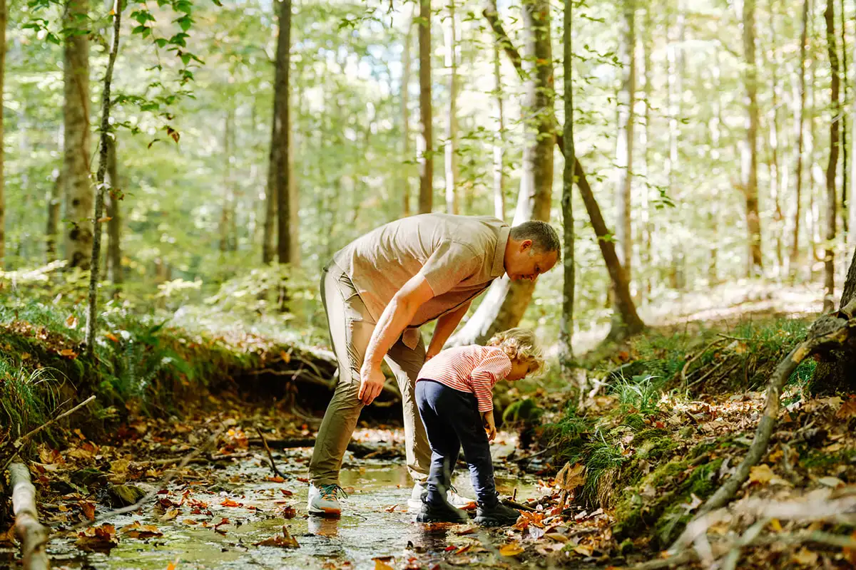 An adult man and a little boy standing in a small creek looking closely at the leaves in a beautiful wooded area in the Arbors at Leiper's Fork